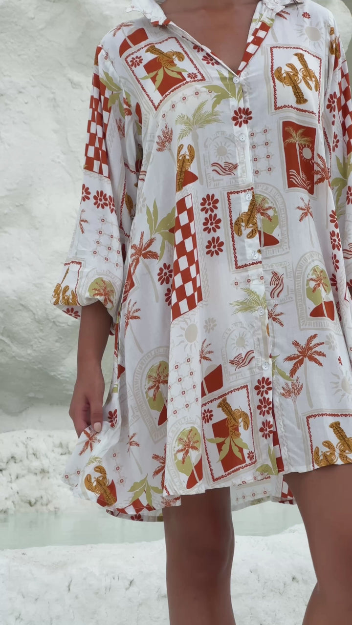 Long Lunch Shirt Dress